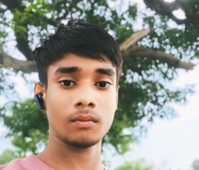 Nikhil katiyar, 34 года, Auraiya