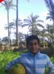 Mohammad, 25 лет, القاهرة