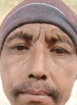 Saefpuloh, 43 года, Djakarta