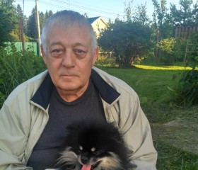 Виктор, 78 лет, Москва