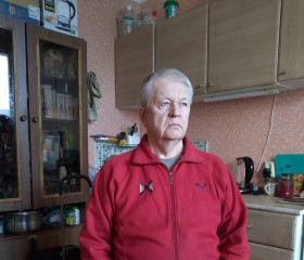 Валентин, 71 год, Санкт-Петербург