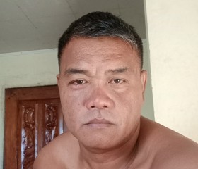Emmanuel, 44 года, Aringay