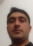 Ali, 42 года, Türkmenbaşy
