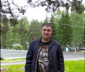 Дима, 44 года, Краснодар