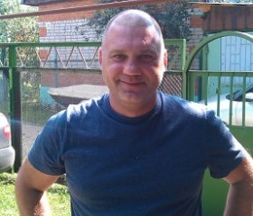 николай, 53 года, Саратов