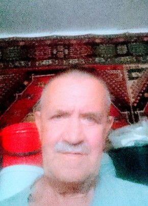 Вячеслав, 73, Россия, Воскресенск