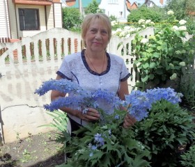 Антонина, 71 год, Тамбов