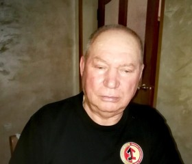 alex, 73 года, Пермь