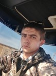 Дмитрий, 27 лет, Троицкое (Алтайский край)