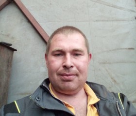 денис, 42 года, Александров