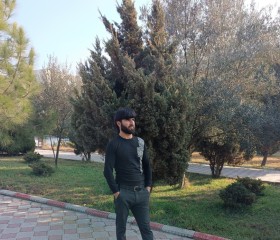 Ali, 24, Saatli