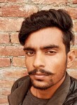 Ravi, 24 года, Gorakhpur (Haryana)