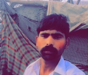 Amir, 28 лет, لاہور