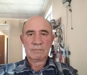 Роман, 72 года, Алматы