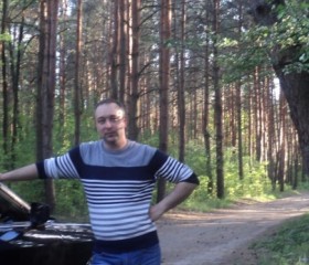 дмитрий, 41 год, Новоград-Волинський