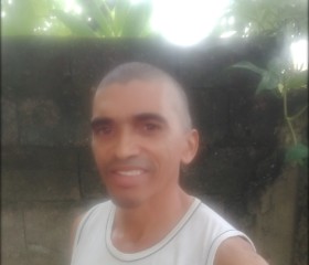 Amaro, 52 года, São Paulo capital