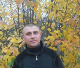 Денис, 34 года, Владивосток