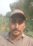 Narendra Parmar, 35 лет, Vadodara