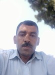Kamel , 53 года, Algiers