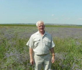 Vasiliy, 63, Nizhniy Novgorod