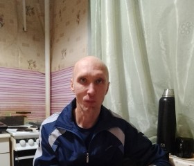 Алексей, 44 года, Муезерский