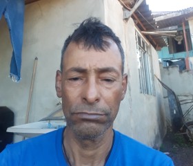 Ilson ribeiro, 54 года, Cascavel (Paraná)