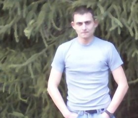 Владимир, 37 лет, Житомир