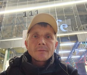 Николай, 42 года, Горад Смалявічы