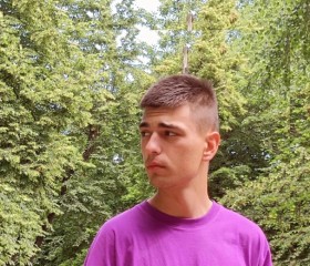 Роман Хамраев, 22 года, Краснасельскі