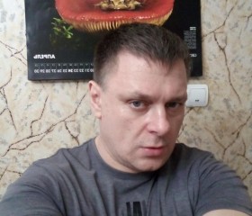 Андрей, 47 лет, Липецк