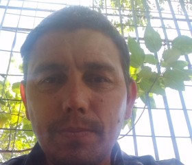 Henrique, 42 года, Mogi das Cruzes