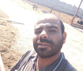 Romany, 35, Alexandria