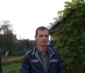 Михаил, 44 года, Горад Мінск