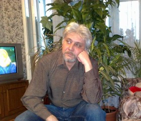Amigo, 61, Gatchina