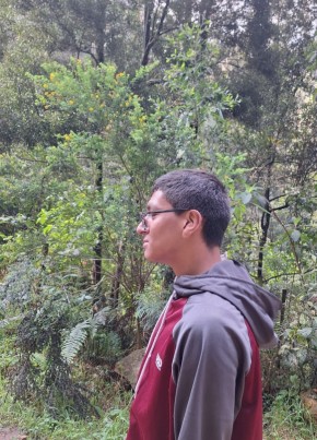 Felipe из Santafe de Bogotá 18 лет