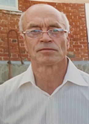 Михаил, 69, Россия, Казань