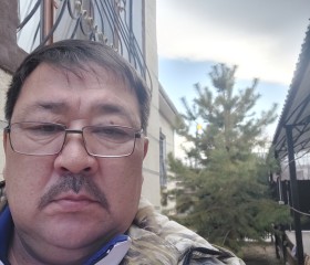 Ербол, 52 года, Қаратау