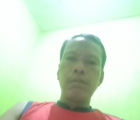 Ratman, 43 года, Kota Jayapura