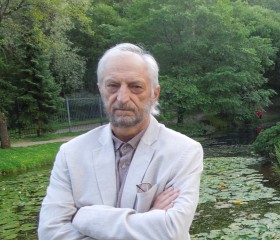 Геннадий, 69 лет, Солнечногорск
