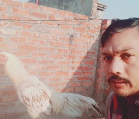 Tanvir Baba, 31 год, لاہور