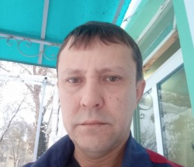 Денис, 46 лет, Toshkent