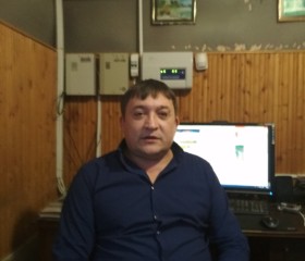 виктор, 45 лет, Димитровград