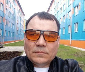 Тимур, 44 года, Мурманск