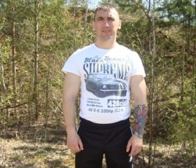 Андрей, 47 лет, Коломна