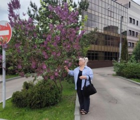 Saliga, 67, Moscow