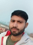 Akash yadav, 29 лет, Kanpur