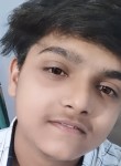 Priyanshu Agraha, 18 лет, Allahabad