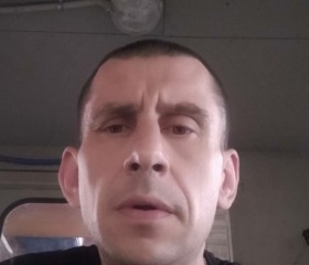 Дмитрий, 46 лет, Кировград