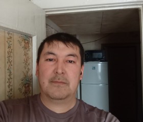 Davronbek, 51 год, Ясногорск