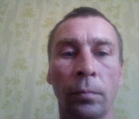 Андрей Чиж, 42 года, Белый-Яр